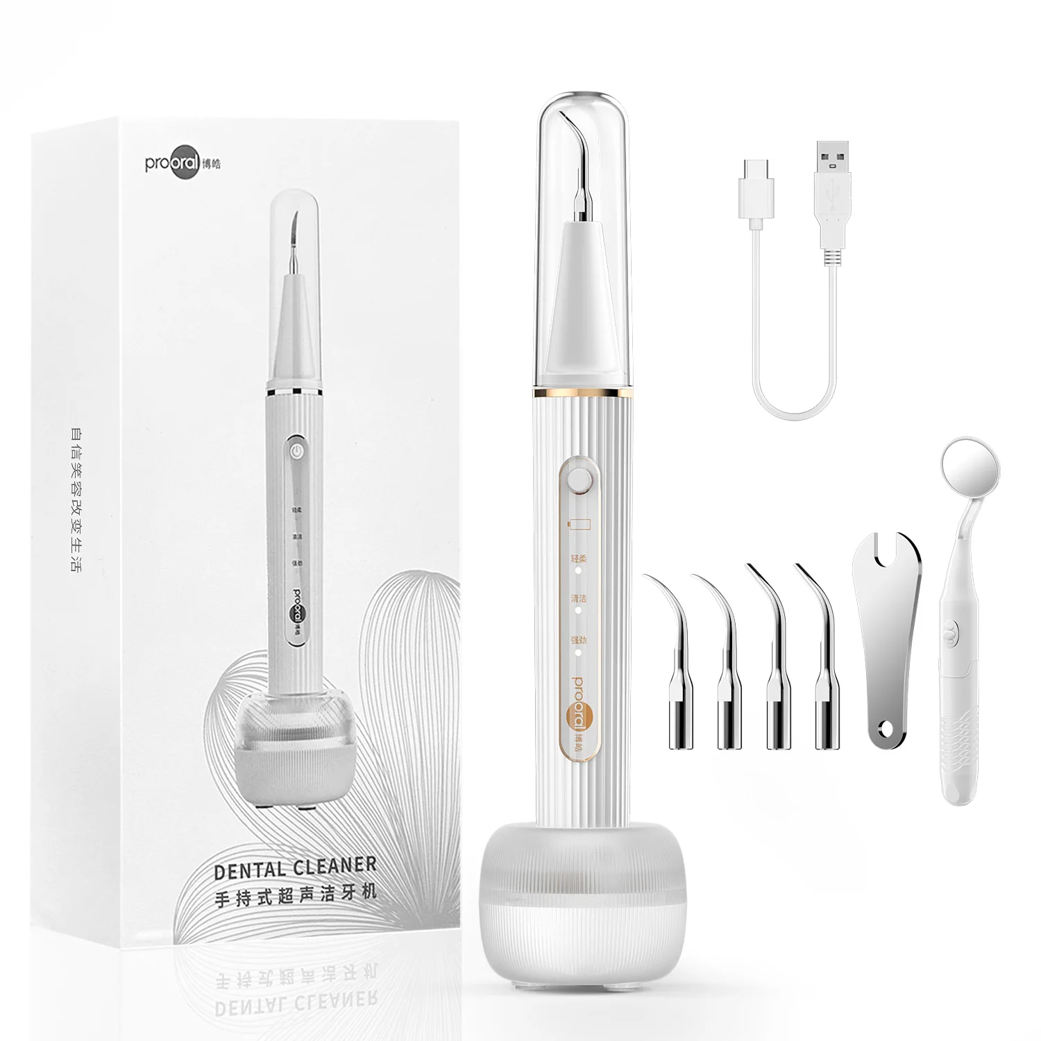 Plaque/Tartar Remover for Teeth, Dental Calculus Remover Cleaning Kit with Led Light- 4 Heads & UV Sanitizing Charging Case