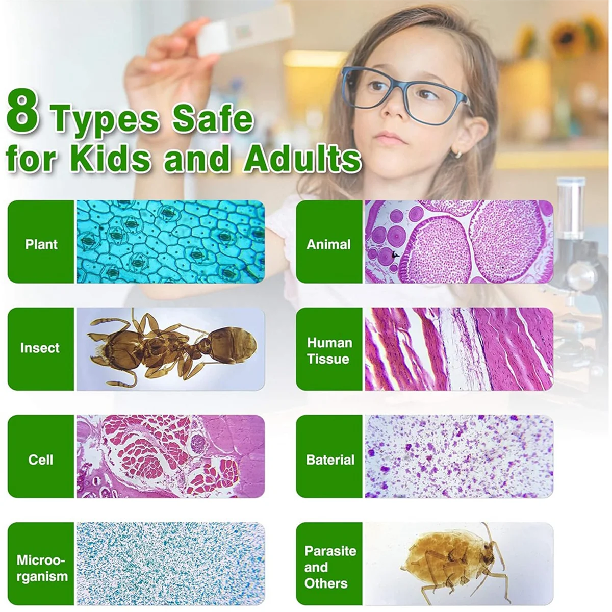 Children'S Microscope Slides, Glass Prep Slides for Microscope Accessories Suitable for All Types of Microscopes Vogue