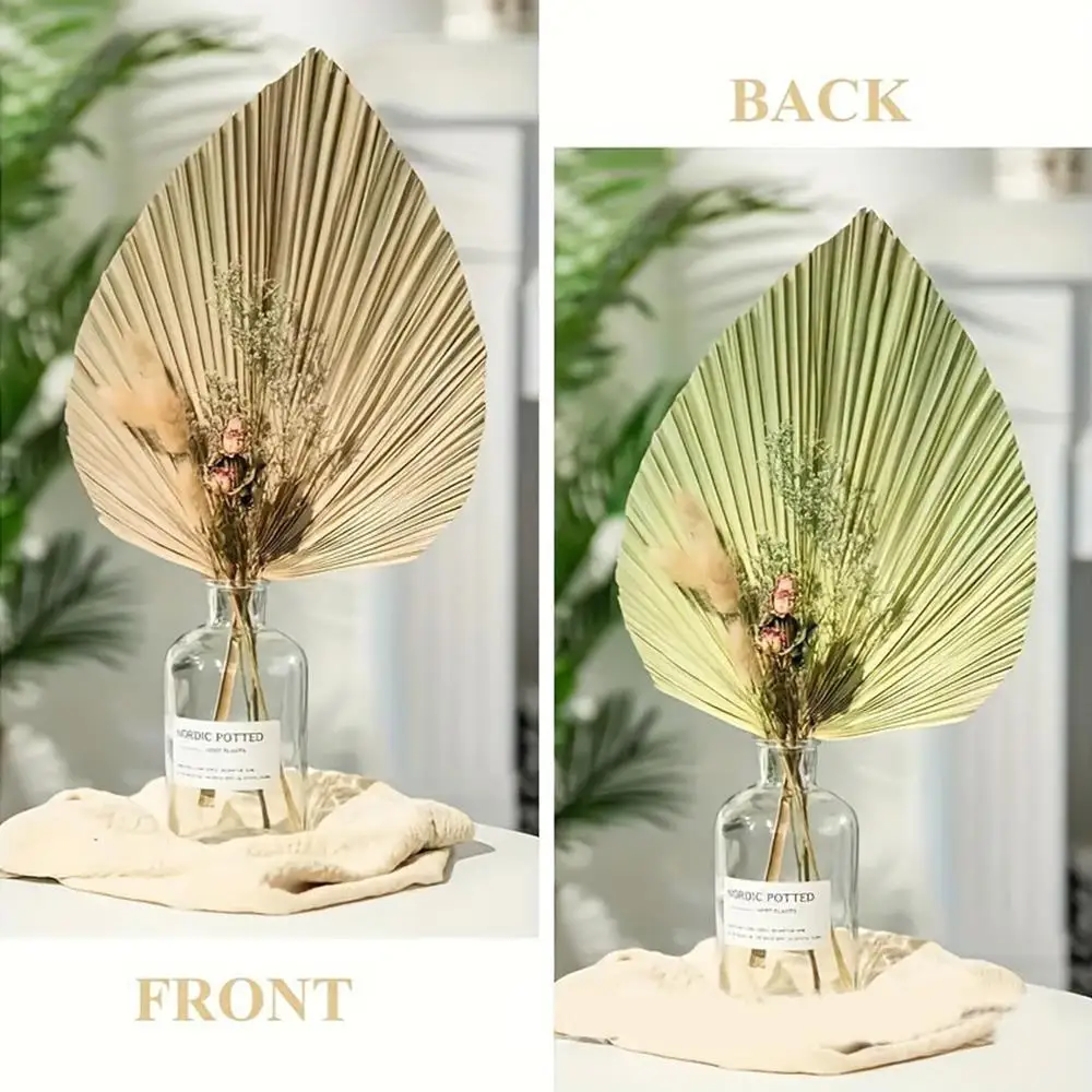 Grasses Branches Leaf Dried Flower Home Decor Palm Fan Wedding Decorations Bohemian Style Natural DIY INS Room Decoration