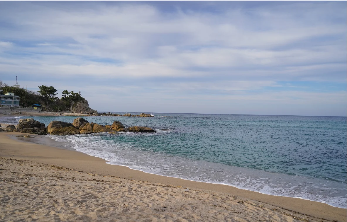 For Honda Sirius PHEV 2019  Manganese Steel Under Engine Guard Protection Device Engine Bonnets  Engine Shield  Car Accessories.