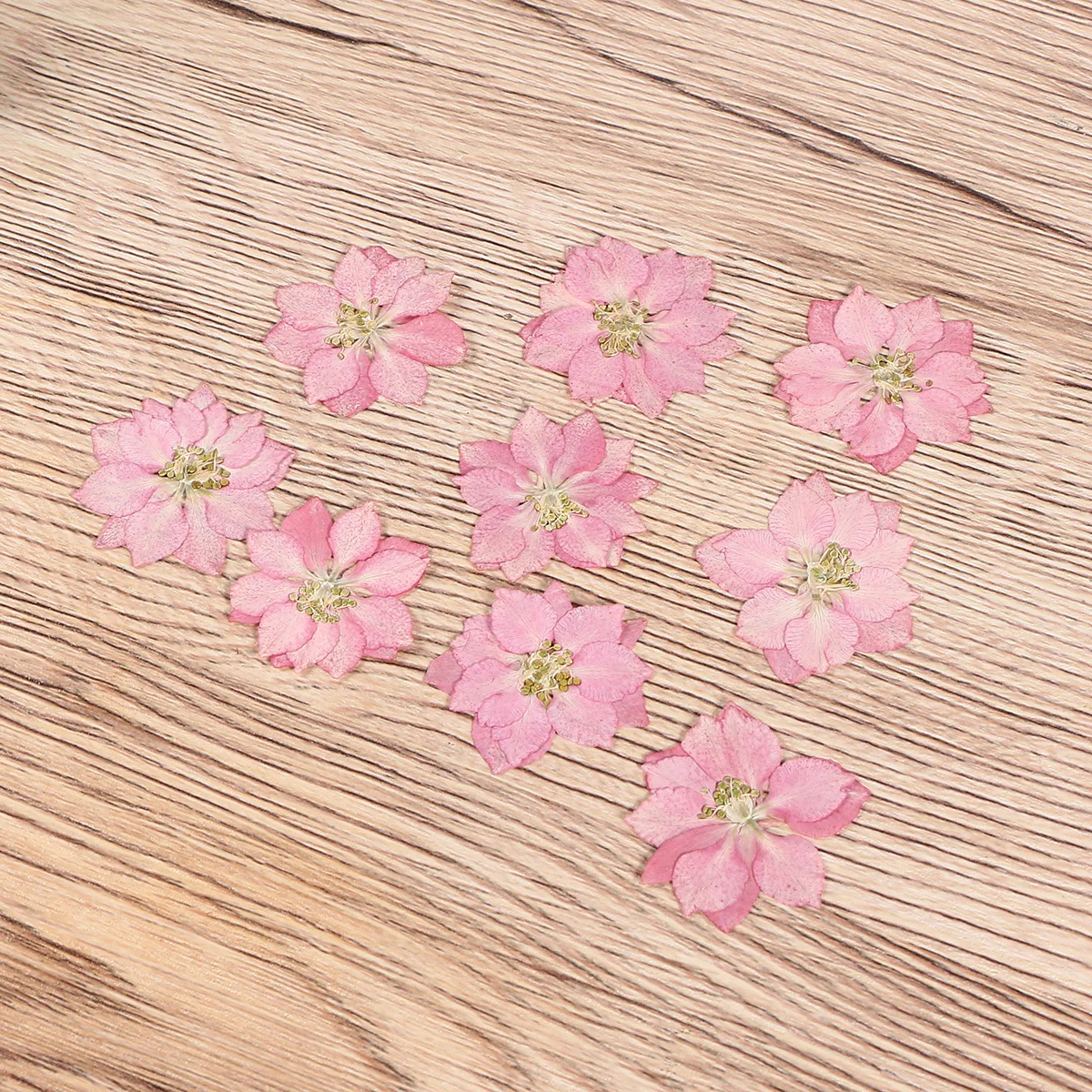 20Pcs Natural Dried Flowers Three Dimensional Beautiful Color Lifelike for DIY Phone Case Decoration Small Flower Ornaments