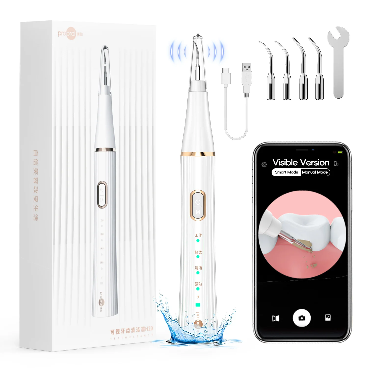 Visible Plaque/Tartar Remover for Teeth, Dental Calculus Remover Cleaning Kit with Led Light- 4 Heads, Teeth Cleaner for Home