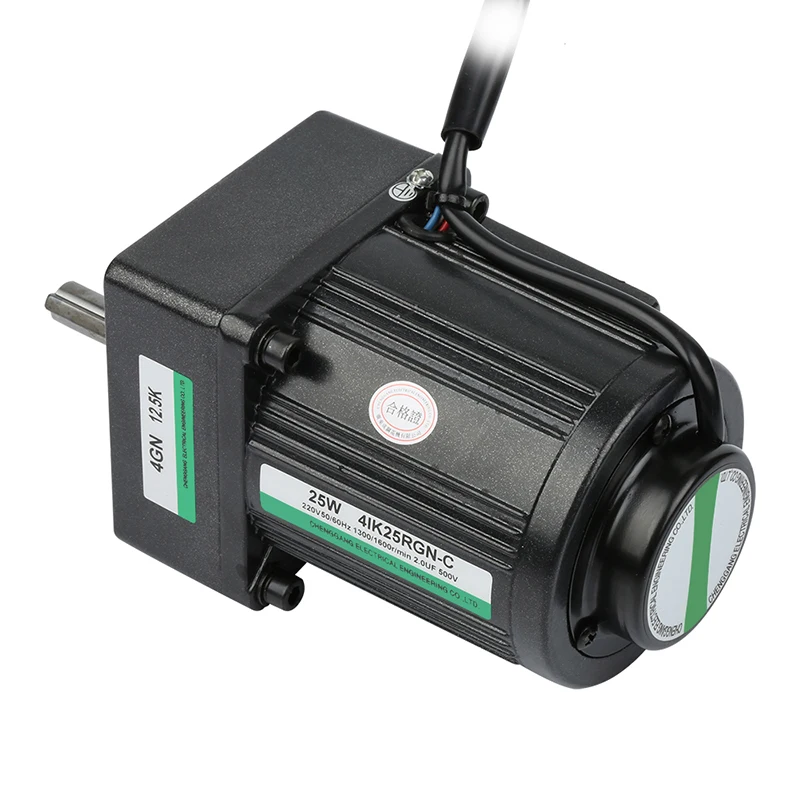 110v/220v Small Variable Speed Electric Motor