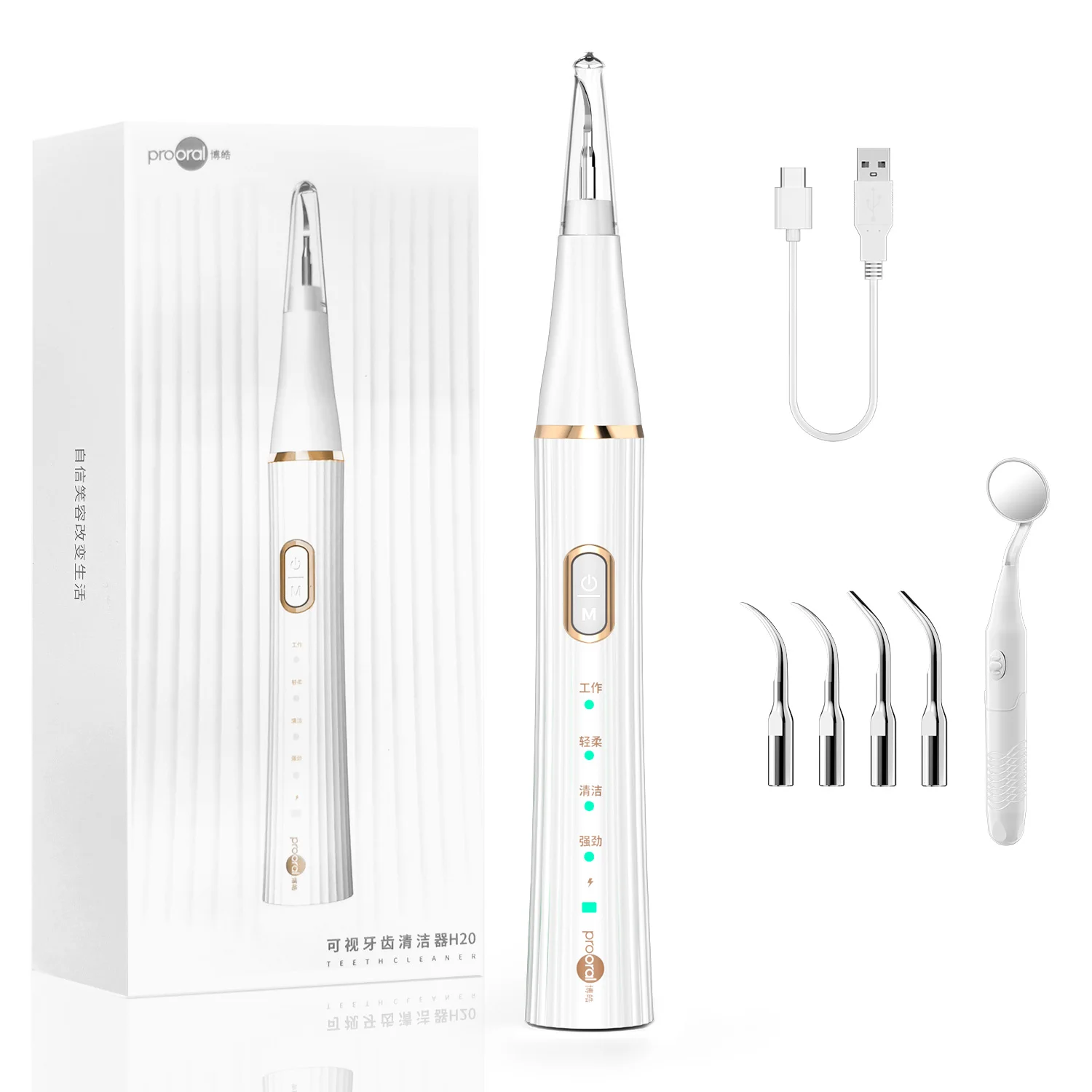 Visible Plaque/Tartar Remover for Teeth, Dental Calculus Remover Cleaning Kit with Led Light- 4 Heads, Teeth Cleaner for Home