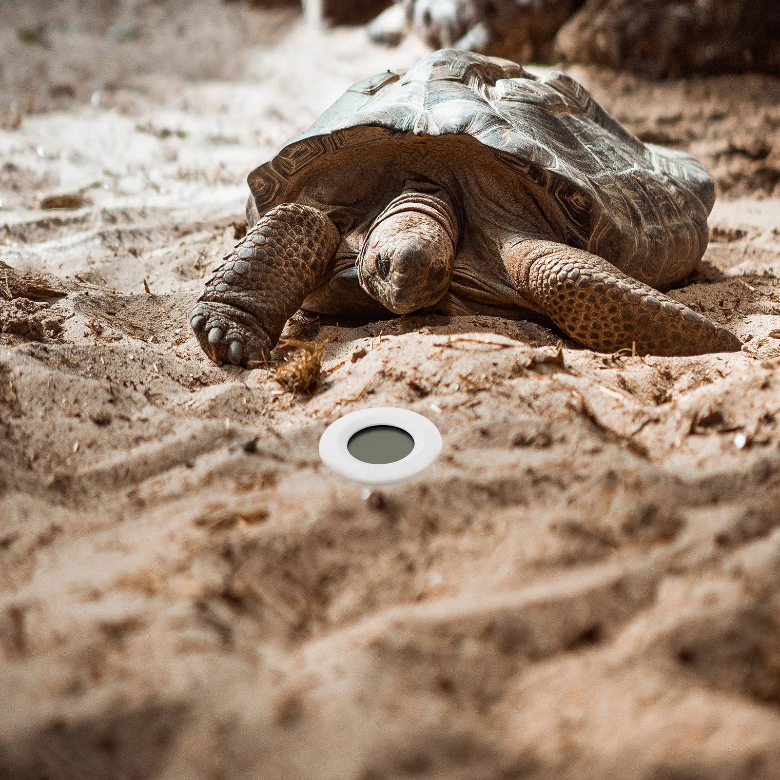 2Pcs Multifunctional Digital Temperature Humidity Meter Easy to Hang for Home Office Warehouse Use White Digital Humidity Meter