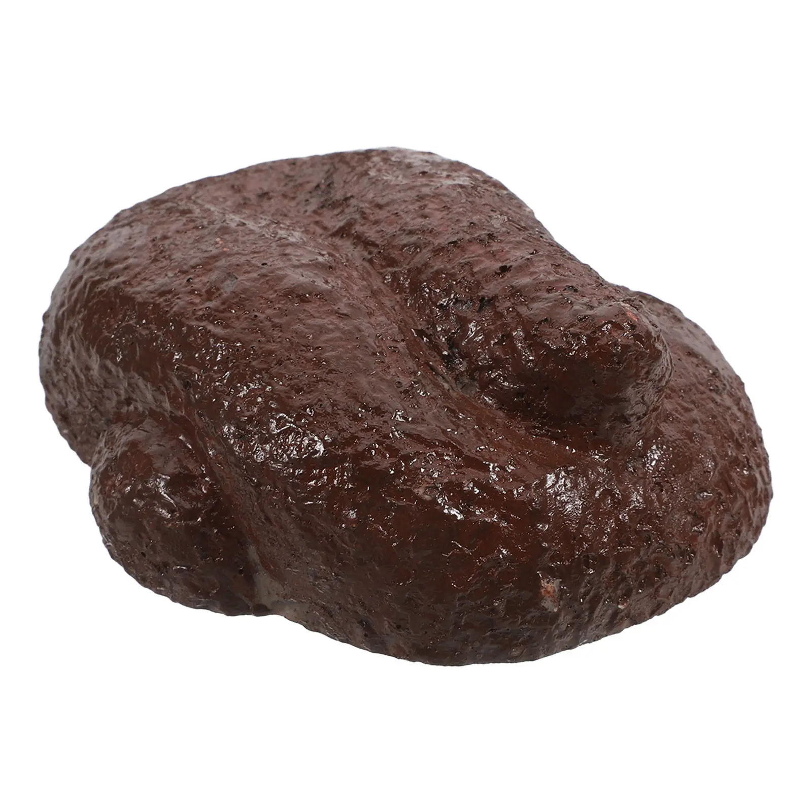 Realistic Poop Design Outdoor Key Hider Large Capacity Waterproof Fake Rock Key Holder for Garden Patio House Security Safe