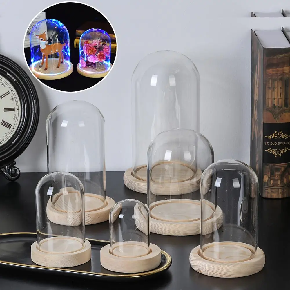 Glass Cloche Jar Display Stand Cover Terrarium Bottle with Wooden Base Acrylic Dust Cover Display Box Immortal Flower Box